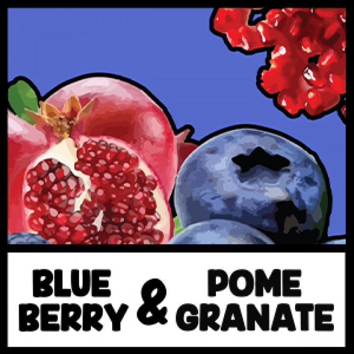 VIVID - Blueberry&Pomegranate