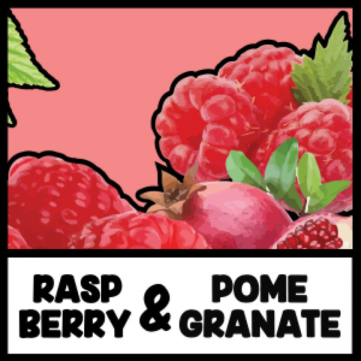 VIVID - Raspberry&Pomegranate